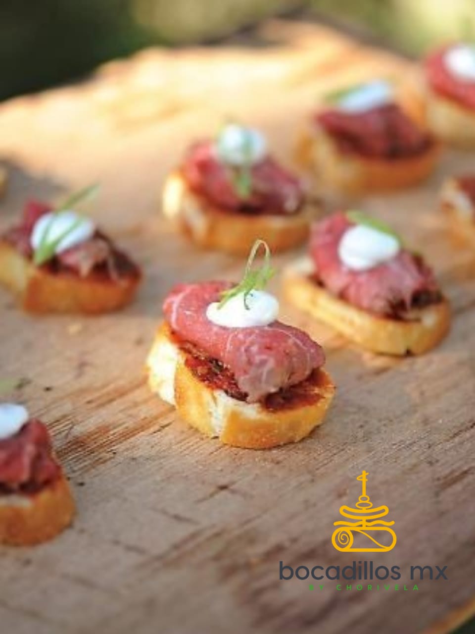 Crostini de pan tomate con carpaccio de res